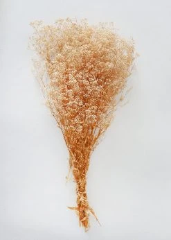 Afloral Dried Flowers Preserved Natural Gypsophila Flowers - 10-28
