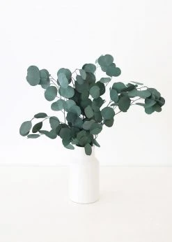 Afloral Everyday Flower Vase In White - 9