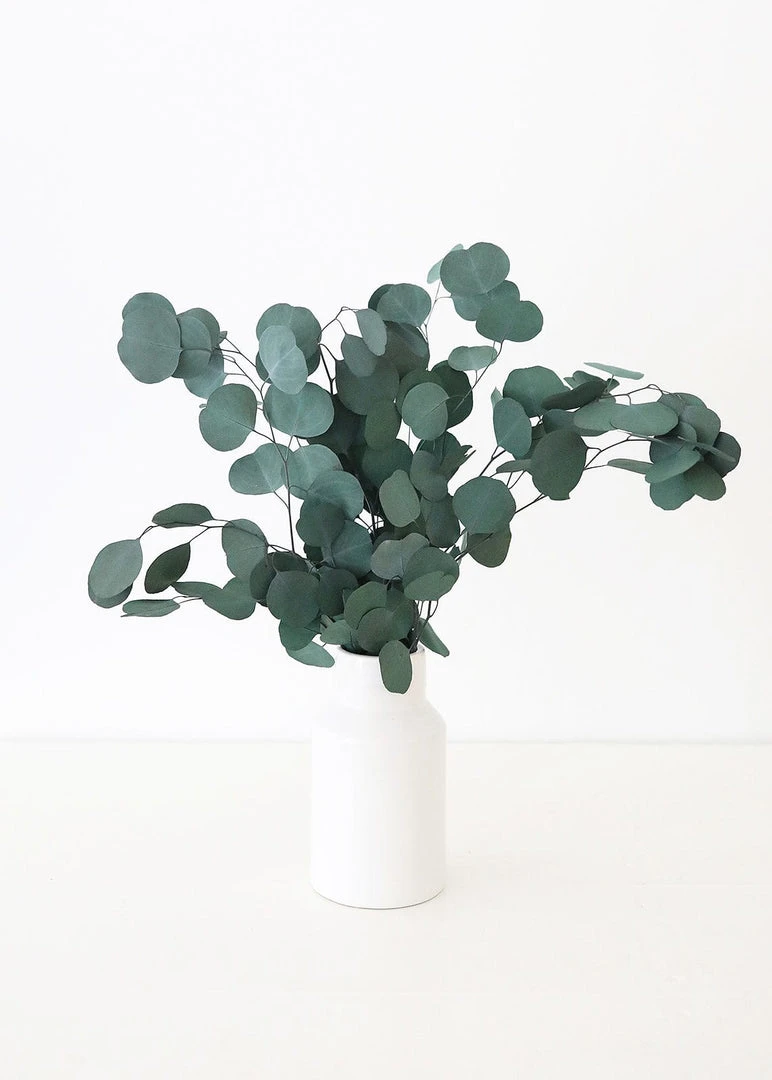 Afloral Everyday Flower Vase In White - 9"