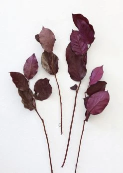 Afloral Dried Flowers Purple Preserved Salal Leaves - 12-20