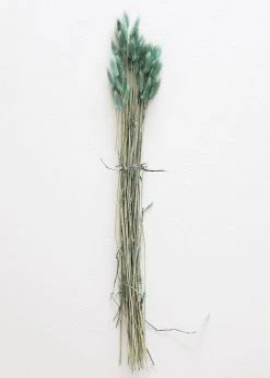 Afloral Sea Blue Dried Bunny Tails - 22-30" Dried Flowers