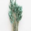 Afloral Sea Blue Dried Bunny Tails - 22-30" Dried Flowers