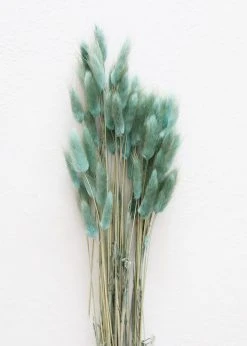 Afloral Sea Blue Dried Bunny Tails - 22-30" Dried Flowers