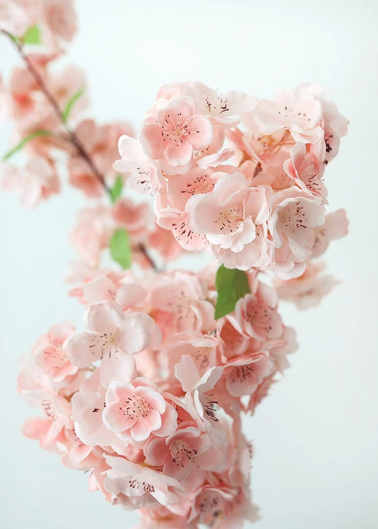 Afloral Artificial Cherry Blossom In Pink - 44"