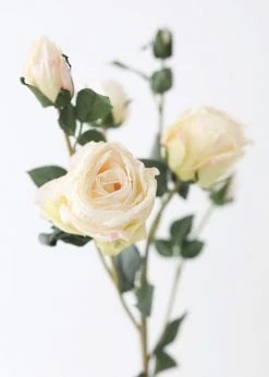 Afloral Faux Dried Rose In Cream - 27.5