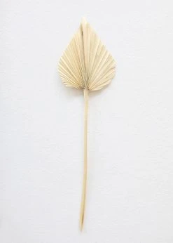 Afloral Dried Flowers Bundle Of 10 Bleached Dried Palm Spears - 14-20"