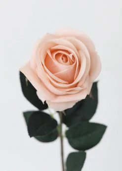 Afloral Artificial Flowers Real Touch Rose In Light Pink - 20"