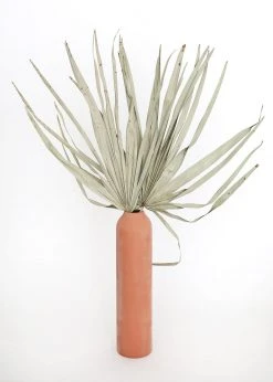 Bundle Of 5 Afloral Dried Skinny Sun Palms - 26-32