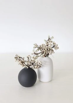 Afloral Dried Flowers White Natural Dried Tallow Berries - 6-8"