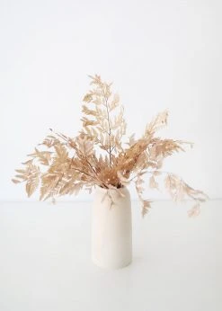 Afloral Bundle Of 10 Preserved Taupe Flat Ferns - 16-20