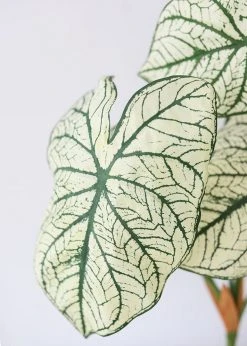 Afloral Variegated Tropical Caladium Fake Leaf Plant - 23"