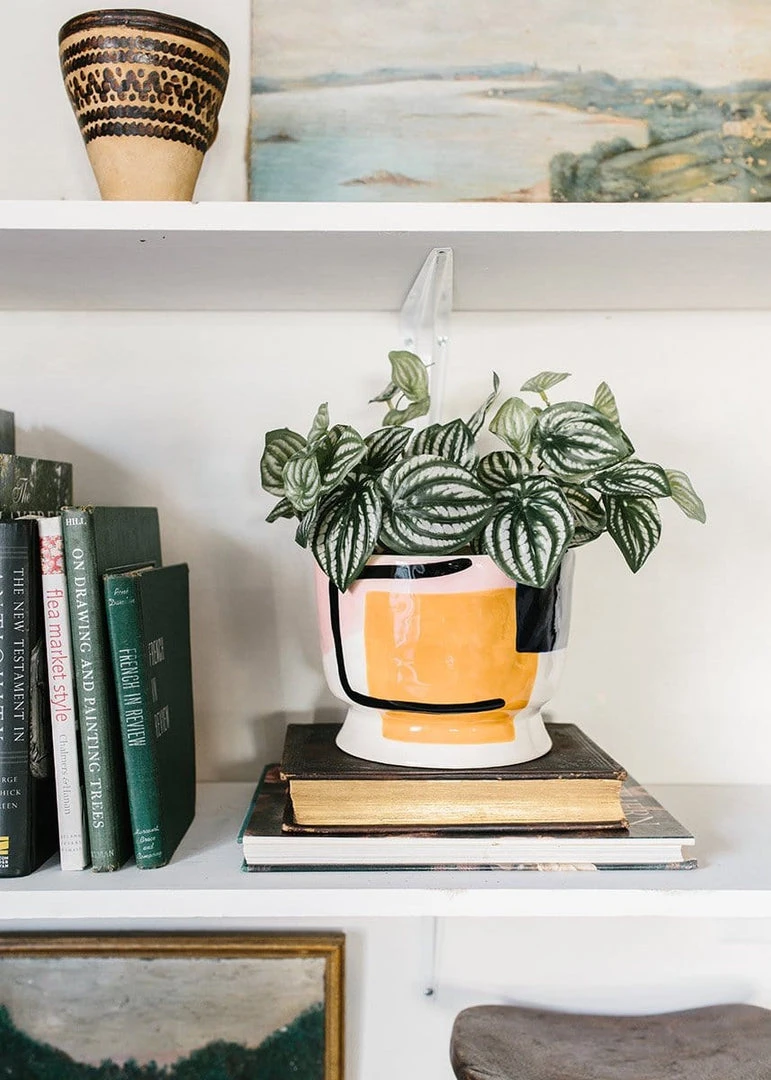 Afloral Artificial Natural Touch Watermelon Peperomia Plant - 13"