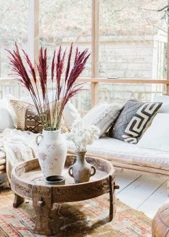 Afloral Dried Flowers Preserved Burgundy Plume Reed Grass - 36-40