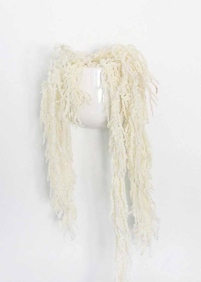 Afloral White Preserved Hanging Amaranthus - 32-40" Dried Flowers