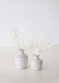 Afloral White Dried Bunny Tails - 18-28