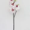 Afloral White Artificial Phalaenopsis Orchid - 32"