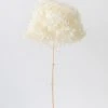 Afloral Dried Hydrangea In Cream - 22-24"