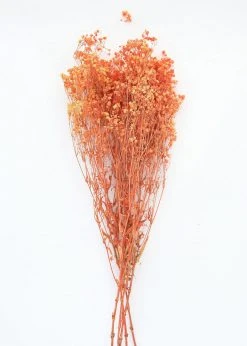 Afloral Orange Preserved Baby's Breath - 24-32