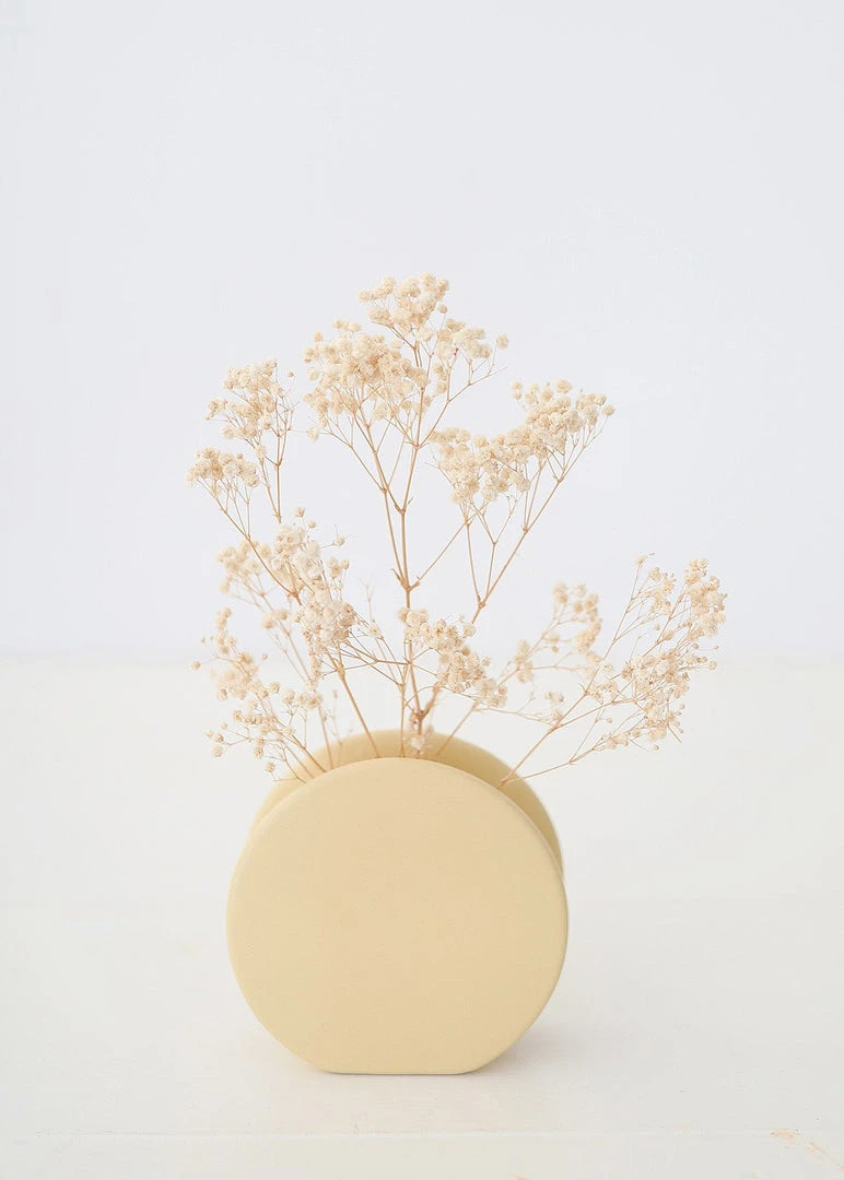 Afloral Dried Flowers Ivory Preserved Baby's Breath - 24-32"
