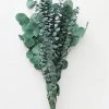 Afloral Preserved Mixed Eucalyptus Bundle - 20-26" Dried Flowers