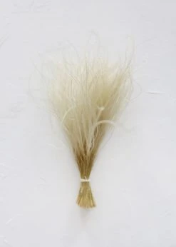 Afloral Off-White Ornamental Feather Grass - 8-12"