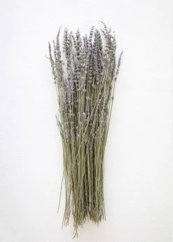 Afloral Dried Flowers Dried Lavender Wildflowers - 15-22"