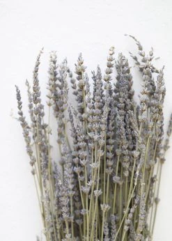 Afloral Dried Flowers Dried Lavender Wildflowers - 15-22