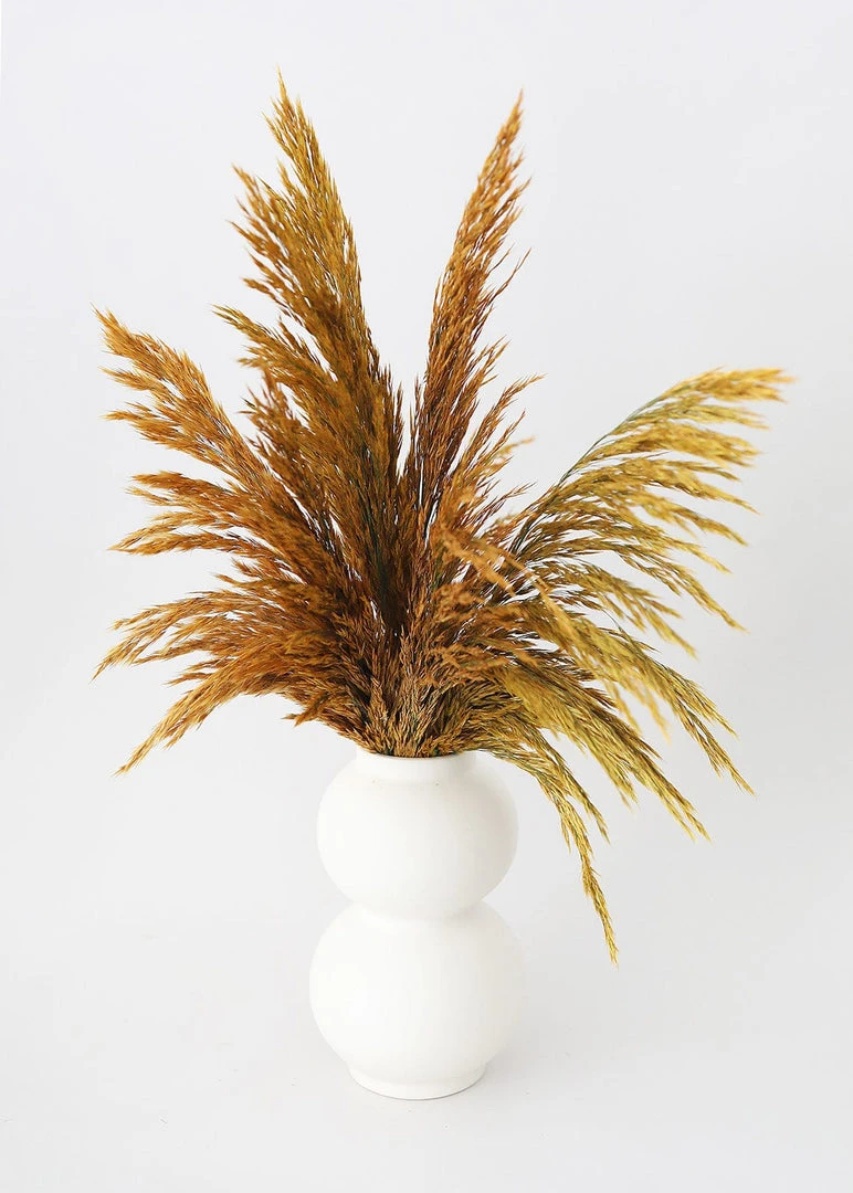 Afloral Matte Ceramic Double Orb Vase - 8"