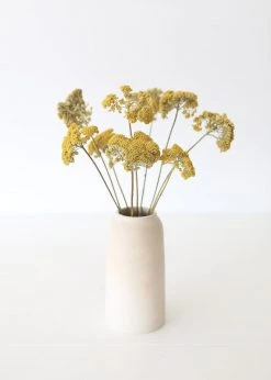 Afloral Dried Natural Yarrow Flowers - 18-24