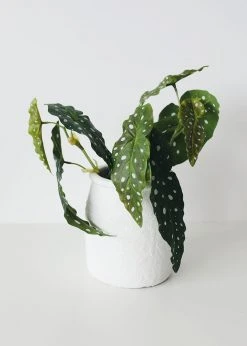 Afloral Artificial Plants Artificial Angel Wing Begonia Leaf Plant - 12"