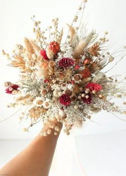 Afloral.com Dried Phalaris Grass In Berry - 20-28