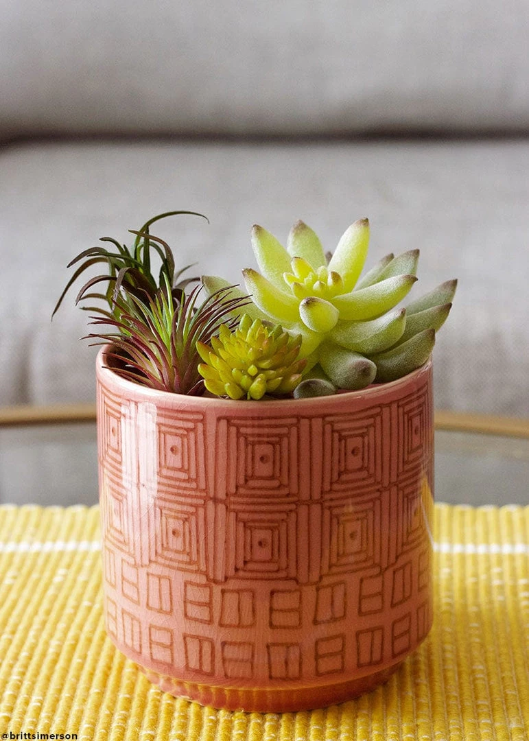 Afloral Artificial Plants Artificial Flocked Succulents Agave Cactus - 4"