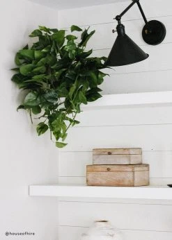 Afloral Real Touch Hanging Pothos Fake Plant - 22